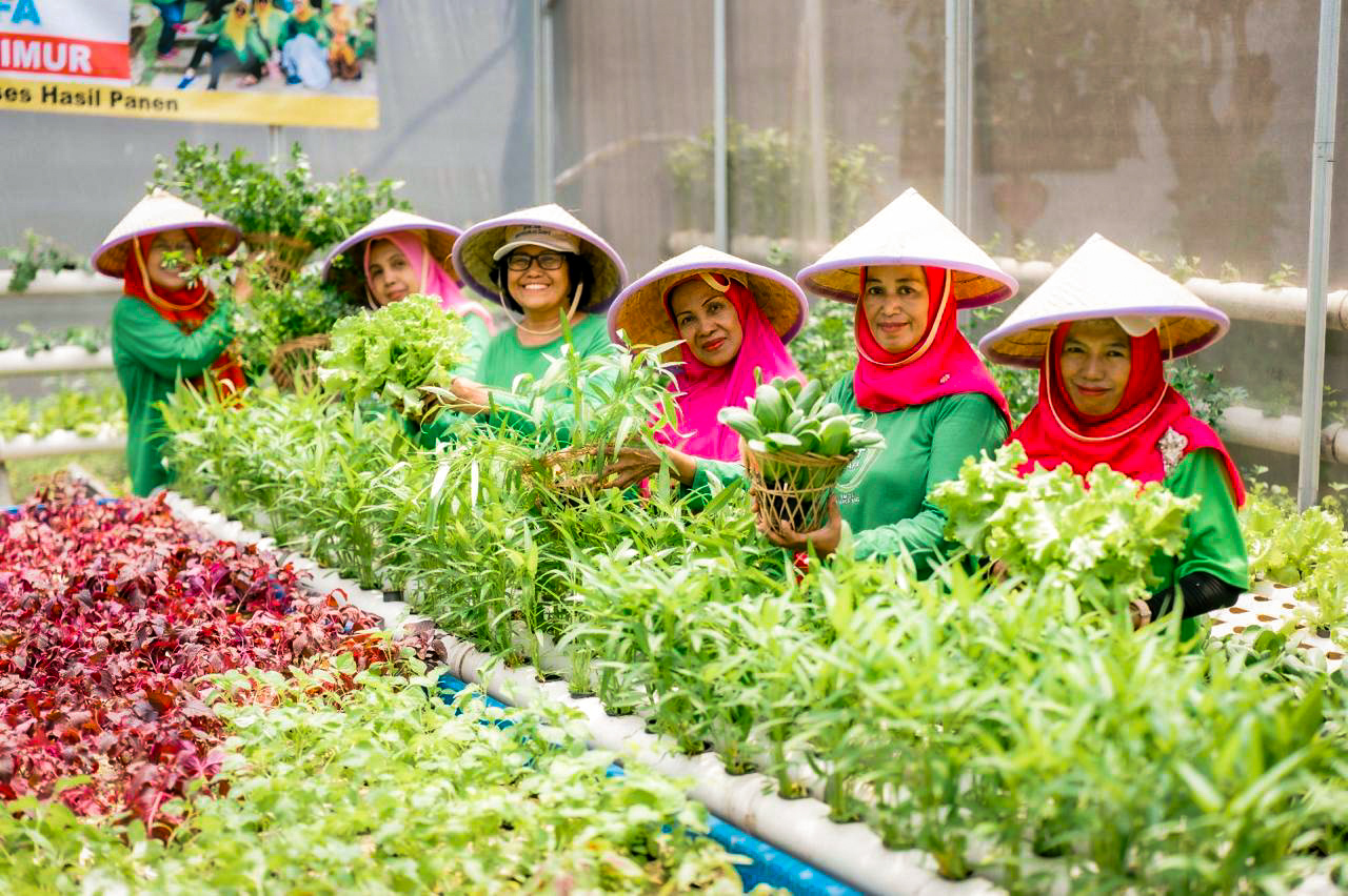 Economic Empowerment